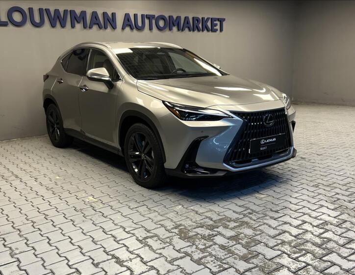 Lexus NX 350h 11