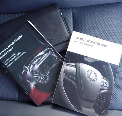 Lexus RX 300 40