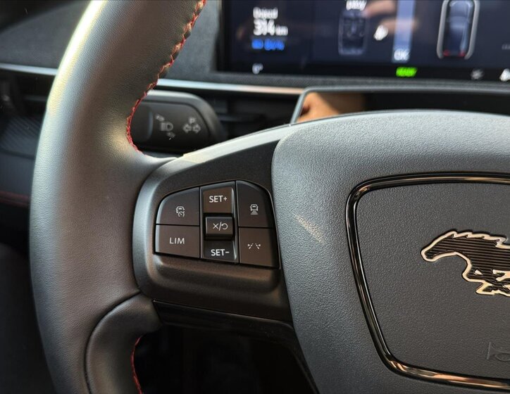 Ford Mustang Mach-E Hatchback 0,0 225 kw