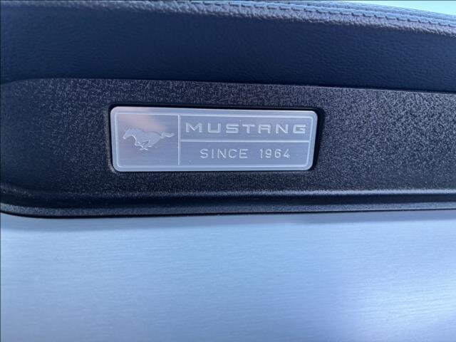 Ford Mustang Kabriolet 5,0 l 310 kw