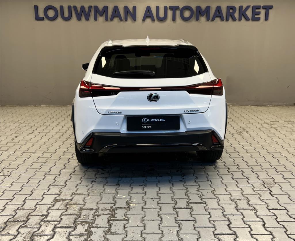 Lexus UX 300h