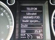 Volkswagen Passat 19