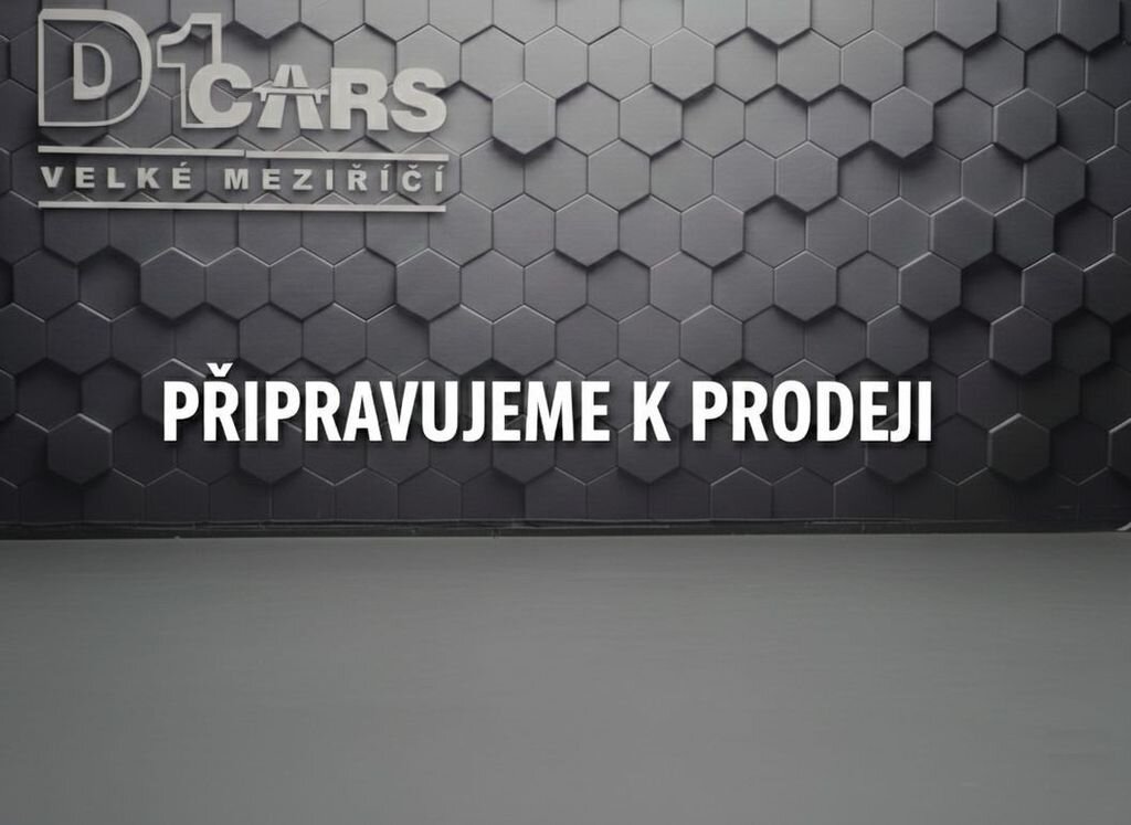 Ford Galaxy MPV 2,5 l 140 kw