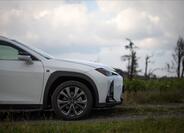 Lexus UX 300h 16