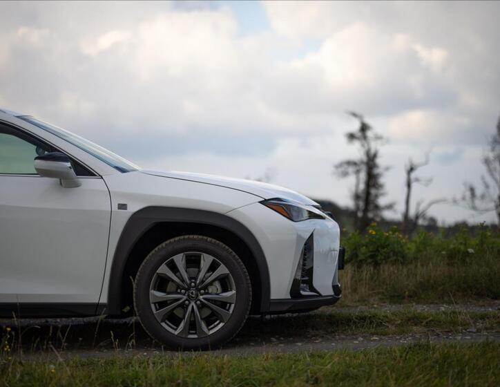 Lexus UX 300h 16