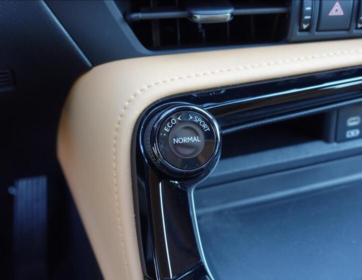 Lexus NX 450h plus 24