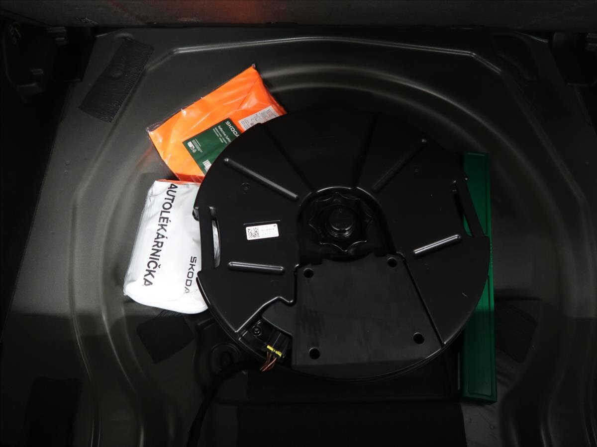 Cupra Terramar SUV 2,0 l 195 kw