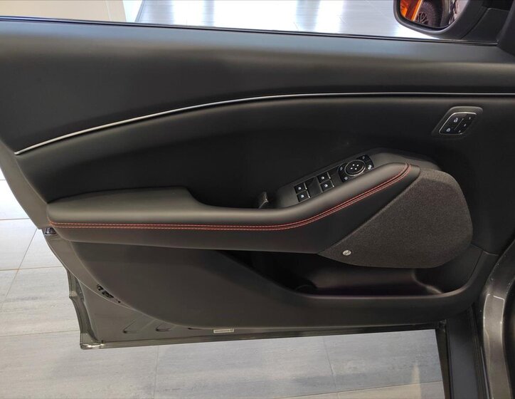 Ford Mustang Mach-E 19