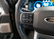 Ford F-150 Pick-up 5,0 l 298 kw