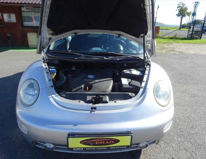 Volkswagen New Beetle 19