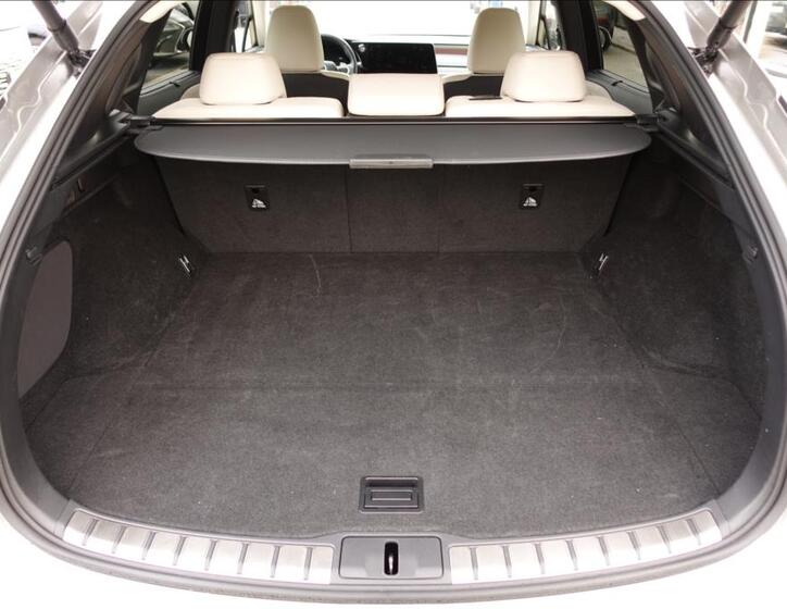 Lexus RX 450h plus 15