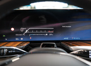 Cadillac Escalade 25