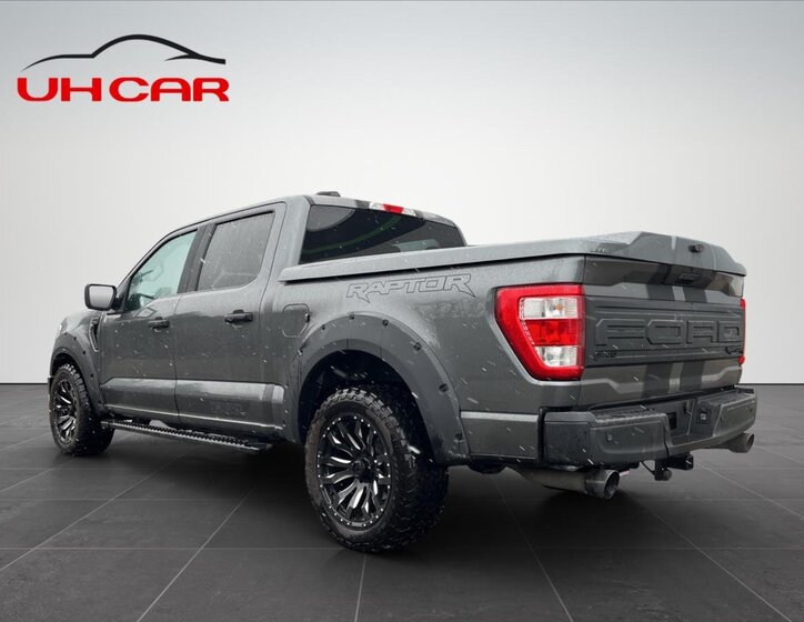 Ford F-150 Pick-up 5,0 l 298 kw