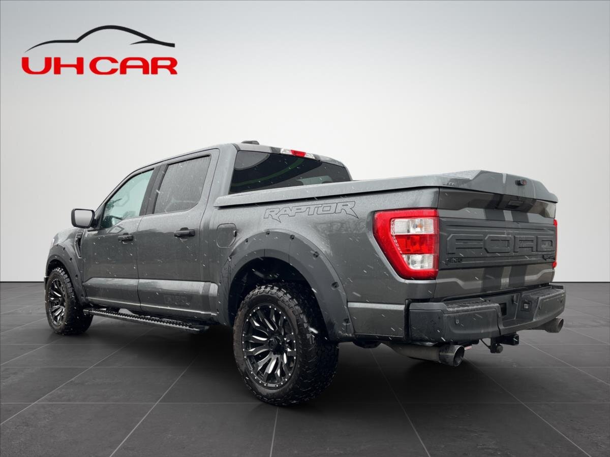 Ford F-150 Pick-up 5,0 l 298 kw