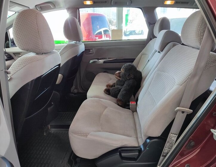 Mitsubishi Grandis MPV 2,4 l 121 kw