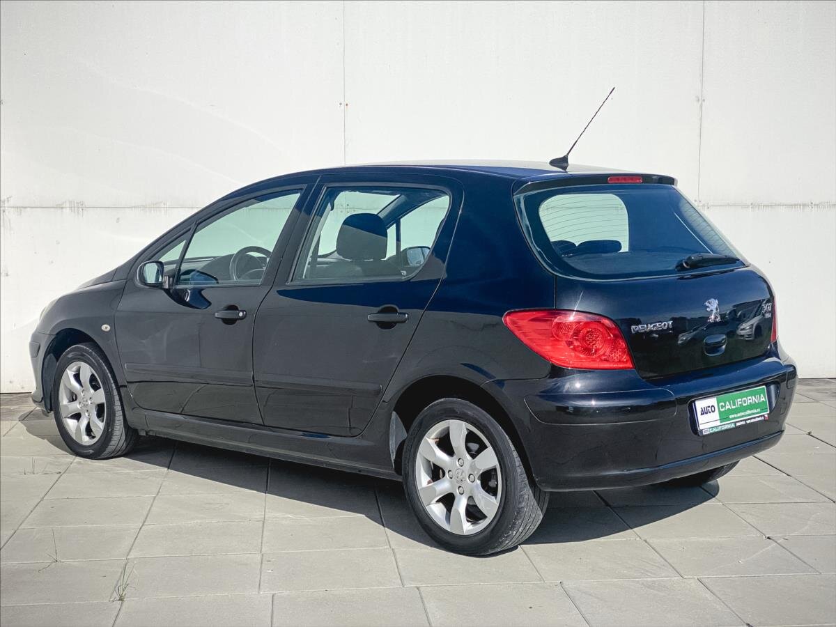 Peugeot 307 Hatchback 1,6 l 66 kw