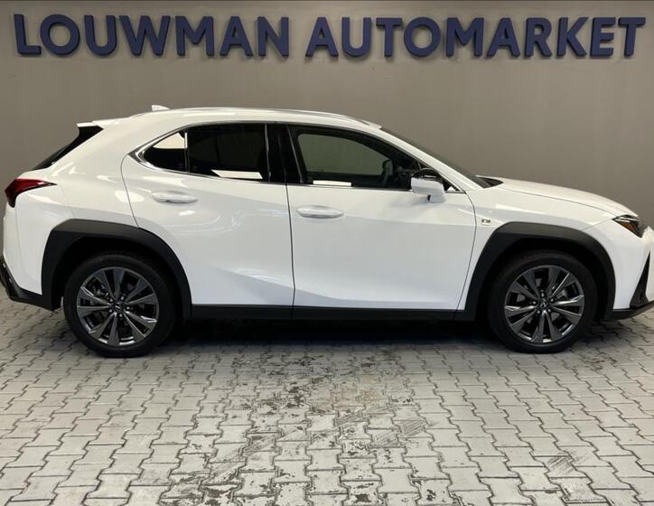 Lexus UX 300h 14