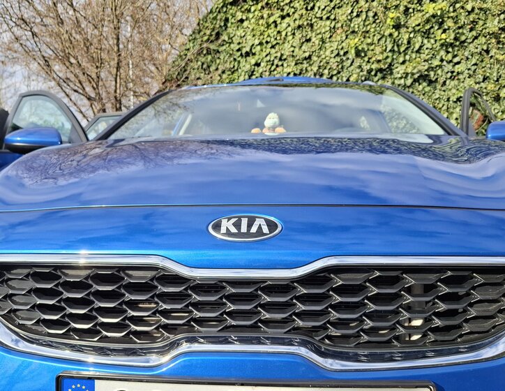 KIA Ceed Kombi 1,0 l 88 kw