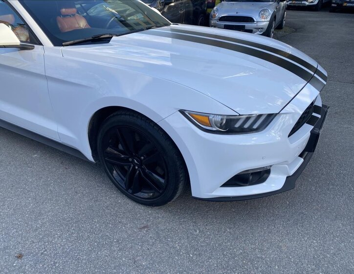 Ford Mustang Kabriolet 2,3 l 233 kw