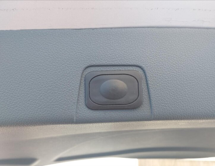 Ford Grand C-MAX MPV 2,0 l 85 kw
