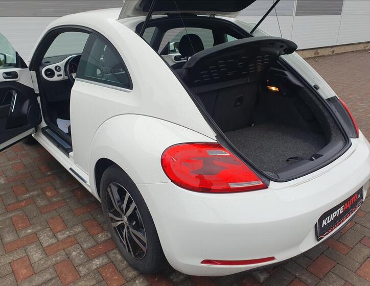 Volkswagen Beetle 24