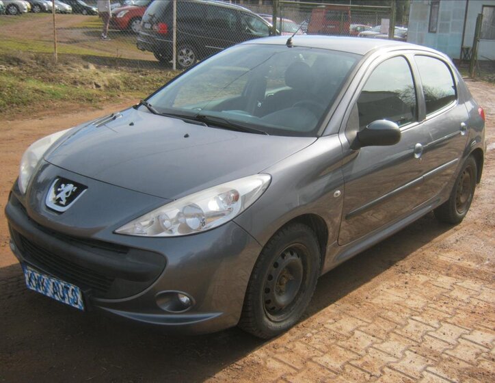 Peugeot 206 Hatchback 1,4 l 50 kw