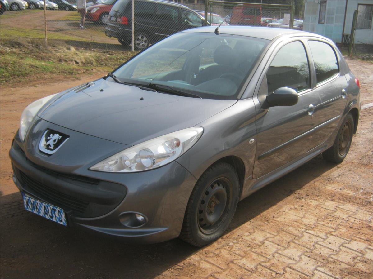 Peugeot 206 Hatchback 1,4 l 50 kw