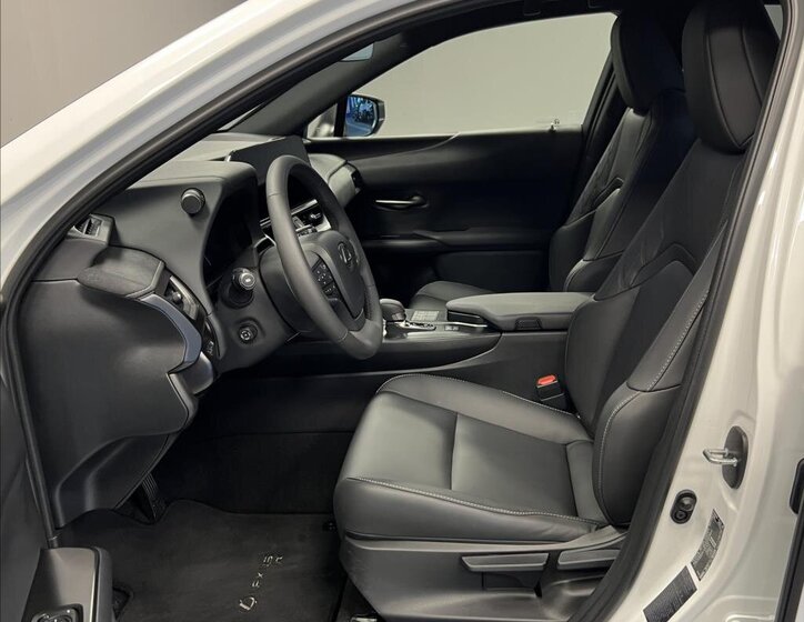 Lexus UX 300h 6