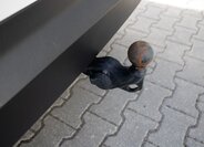 Škoda Kodiaq SUV / Terénní 2,0 l 110 kw