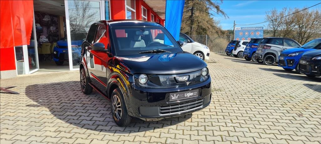 Ligier Ostatní Hatchback 499,0 6 kw