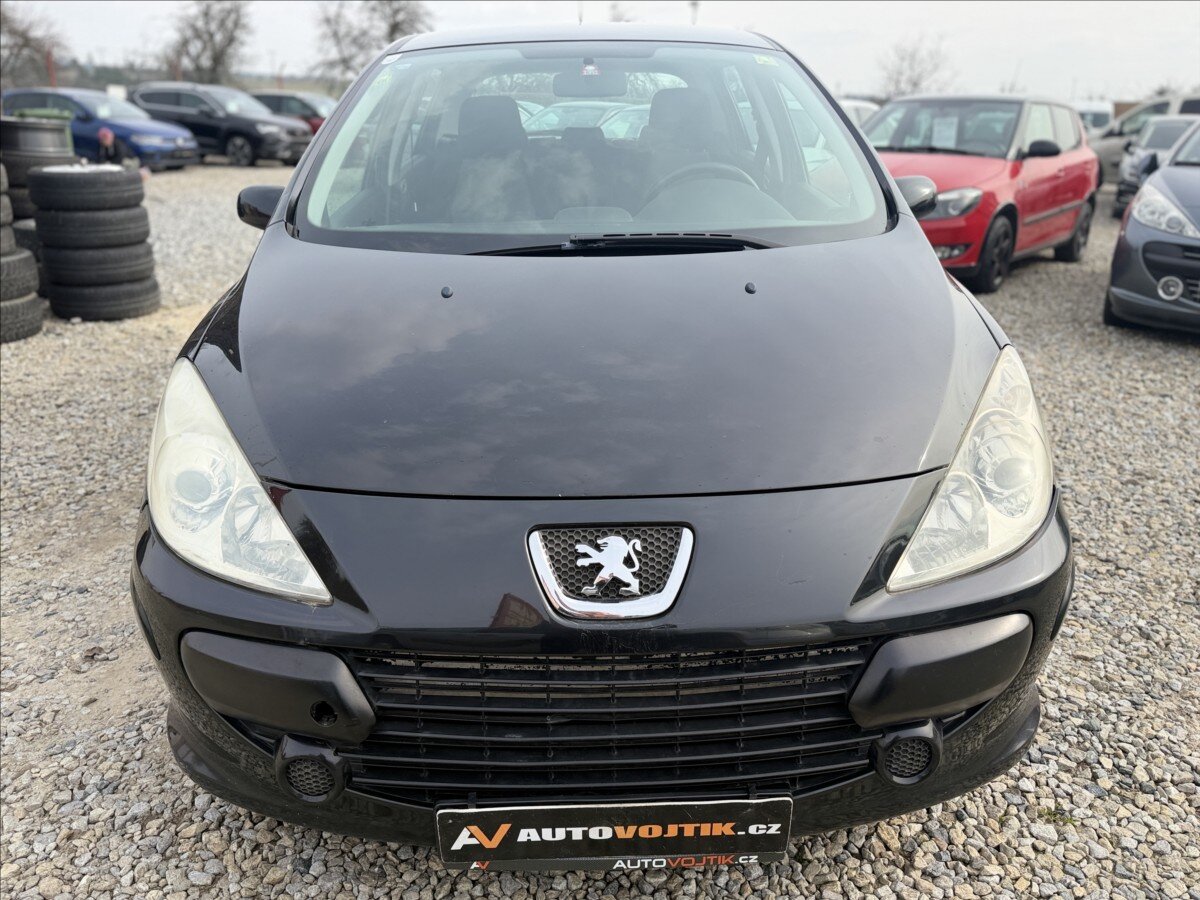 Peugeot 307 Hatchback 1,6 l 80 kw