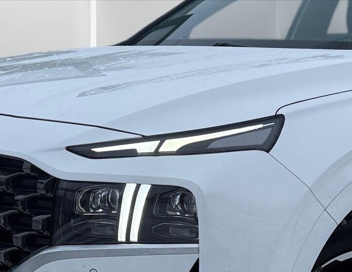 Hyundai Santa Fe SUV / Terénní 1,6 l 195 kw