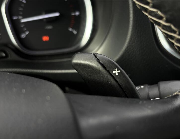 Peugeot Traveller 31