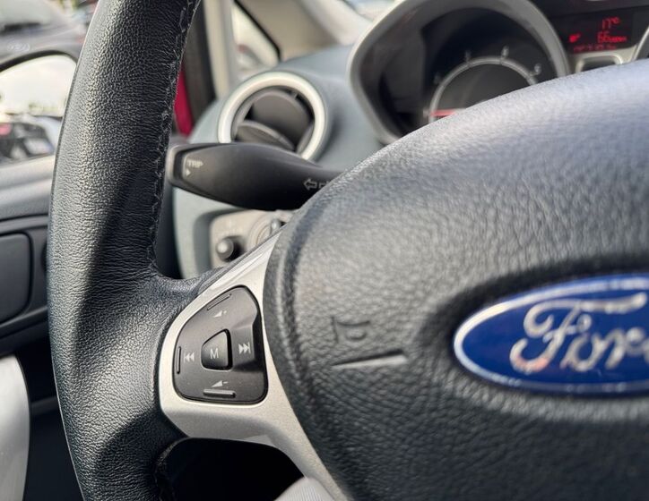 Ford Fiesta 14