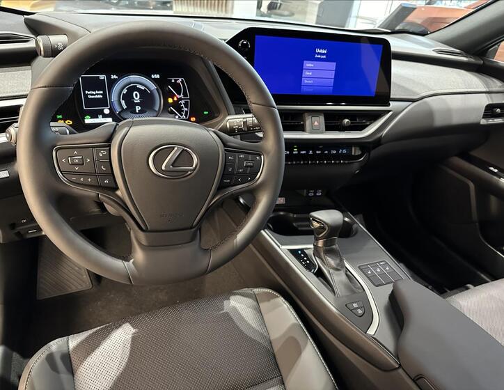 Lexus UX 250h 11
