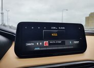 Hyundai Santa Fe SUV 2,2 l 142 kw