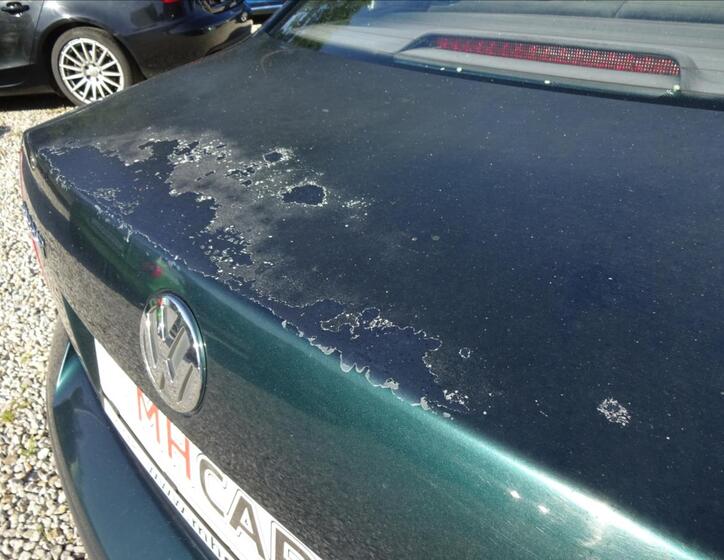 Volkswagen Passat 16