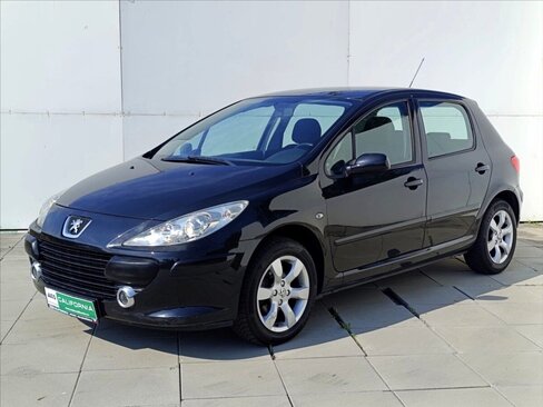 Peugeot 307 Hatchback 1,6 l 66 kw