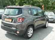 Jeep Renegade 5