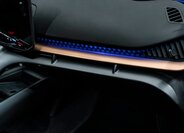 Cupra Ostatní SUV 0,0 210 kw