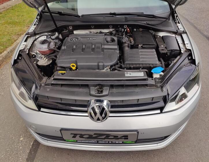 Volkswagen Golf 29