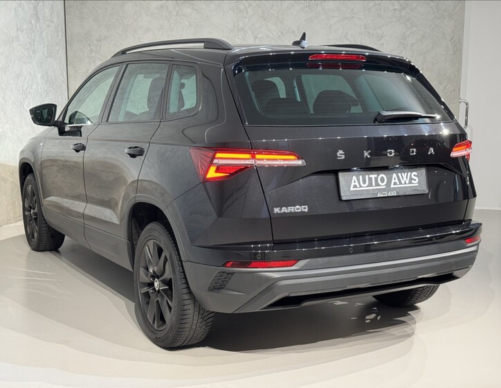 Škoda Karoq 9