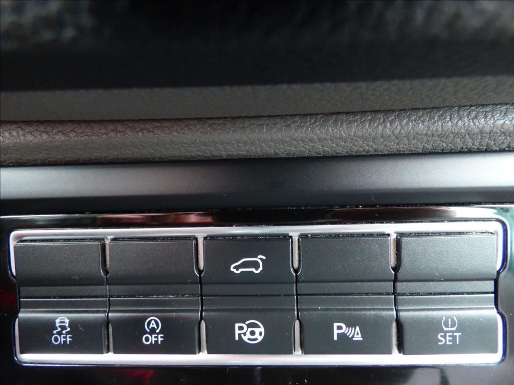 Volkswagen Sharan Kombi 2,0 l 125 kw