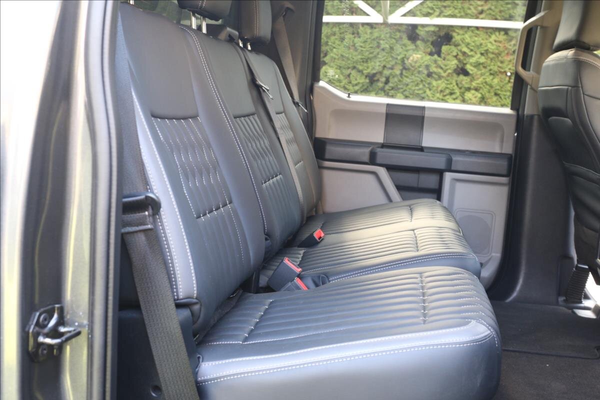 Ford F-150 Pick-up 5,0 l 287 kw