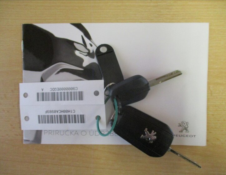 Peugeot Traveller Ostatní 2,0 l 110 kw