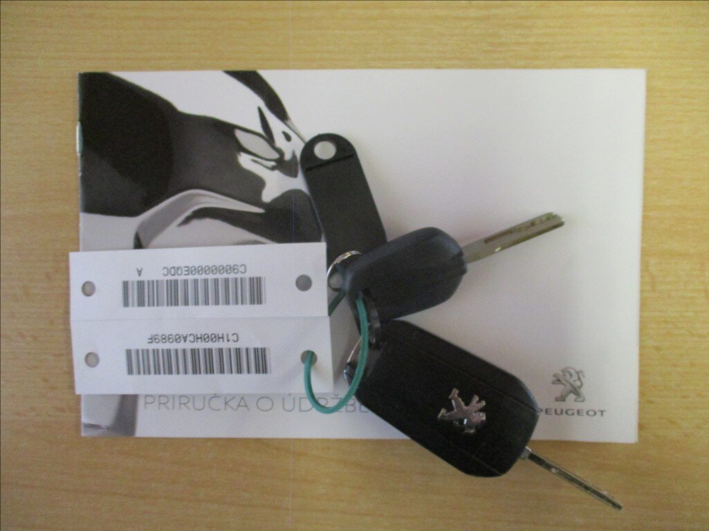 Peugeot Traveller Ostatní 2,0 l 110 kw