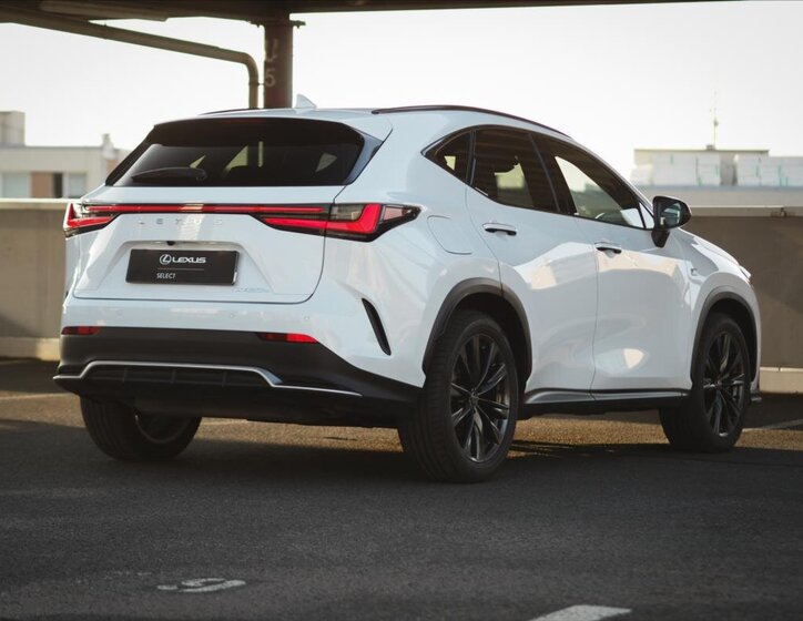 Lexus NX 450h plus 15