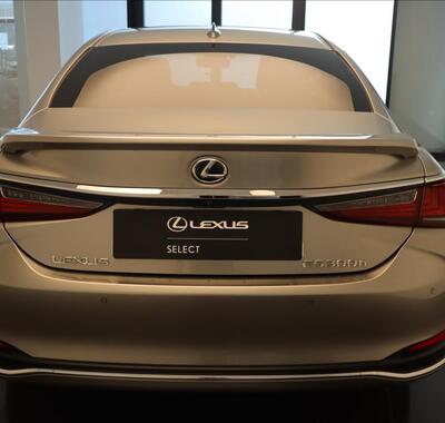 Lexus ES 300 10