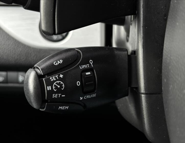 Peugeot Traveller 29