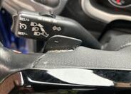 Volkswagen Beetle 17